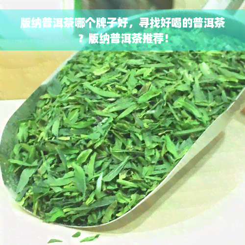 版纳普洱茶哪个牌子好，寻找好喝的普洱茶？版纳普洱茶推荐！