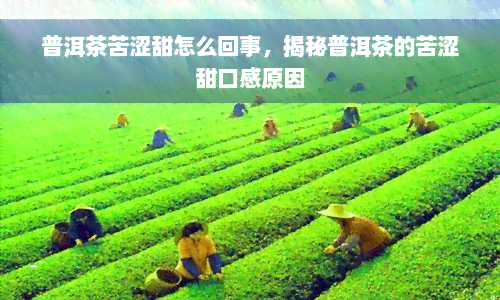 普洱茶苦涩甜怎么回事，揭秘普洱茶的苦涩甜口感原因