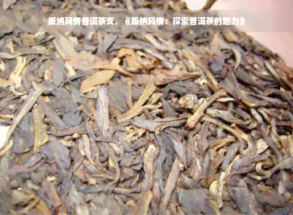 版纳风情普洱茶支，《版纳风情：探索普洱茶的魅力》