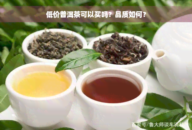 低价普洱茶可以买吗？品质如何？