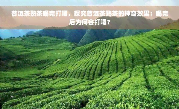 普洱茶熟茶喝完打嗝，探究普洱茶熟茶的神奇效果：喝完后为何会打嗝？