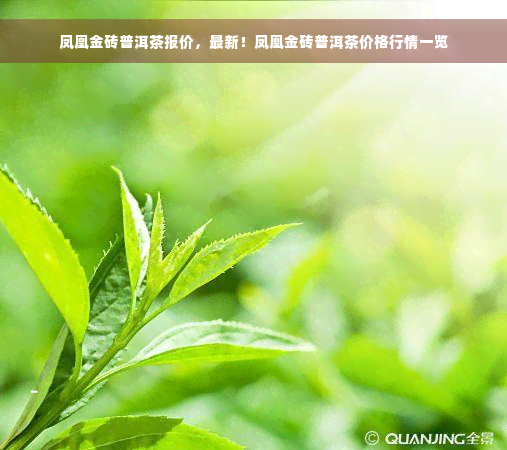 凤凰金砖普洱茶报价，最新！凤凰金砖普洱茶价格行情一览