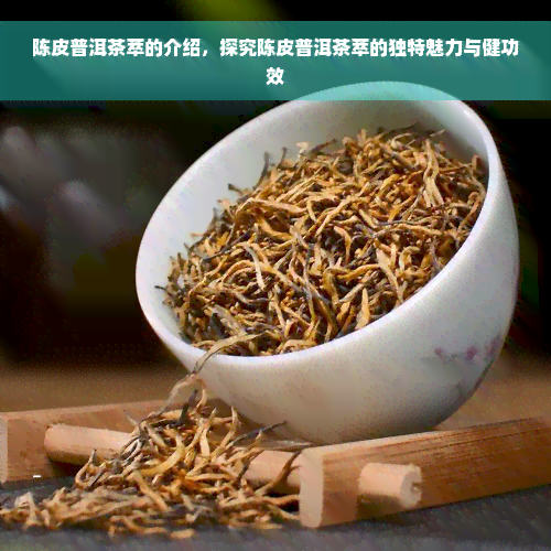 陈皮普洱茶萃的介绍，探究陈皮普洱茶萃的独特魅力与健功效