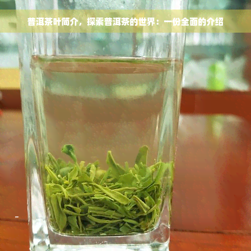 普洱茶叶简介，探索普洱茶的世界：一份全面的介绍