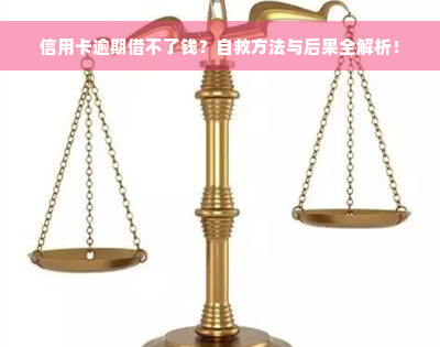 信用卡逾期借不了钱？自救方法与后果全解析！