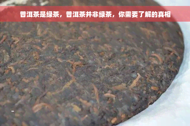 普洱茶是绿茶，普洱茶并非绿茶，你需要了解的真相