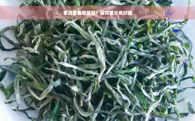 普洱茶算绿茶吗？探究其分类归属