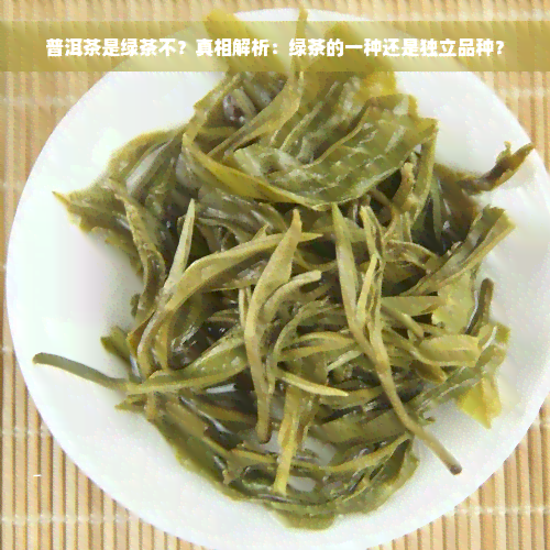 普洱茶是绿茶不？真相解析：绿茶的一种还是独立品种？