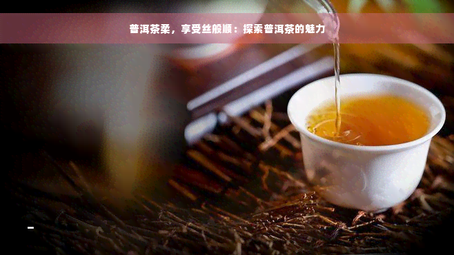 普洱茶柔，享受丝般顺：探索普洱茶的魅力