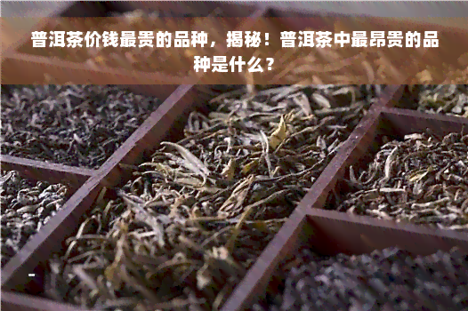 普洱茶价钱最贵的品种，揭秘！普洱茶中最昂贵的品种是什么？