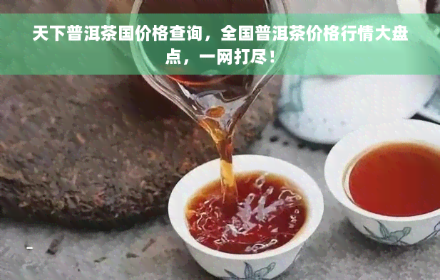 天下普洱茶国价格查询，全国普洱茶价格行情大盘点，一网打尽！