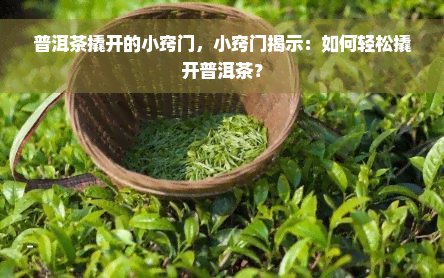 普洱茶撬开的小窍门，小窍门揭示：如何轻松撬开普洱茶？