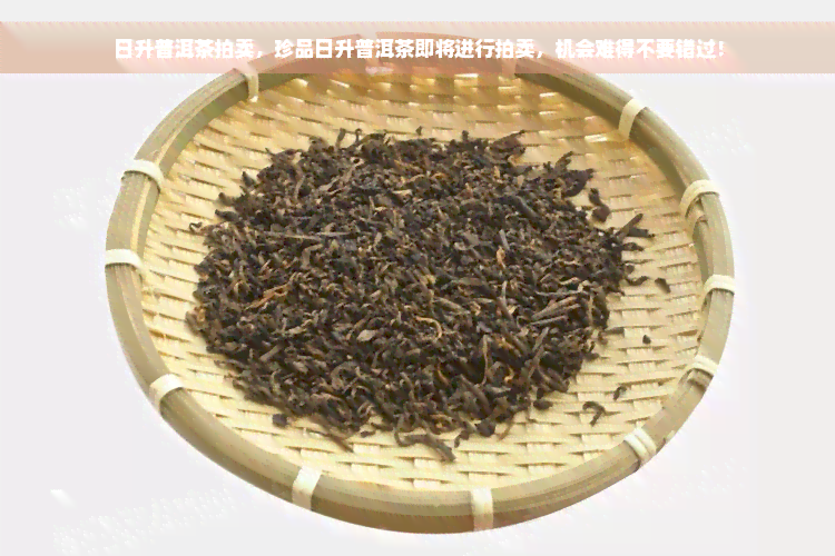 日升普洱茶拍卖，珍品日升普洱茶即将进行拍卖，机会难得不要错过！