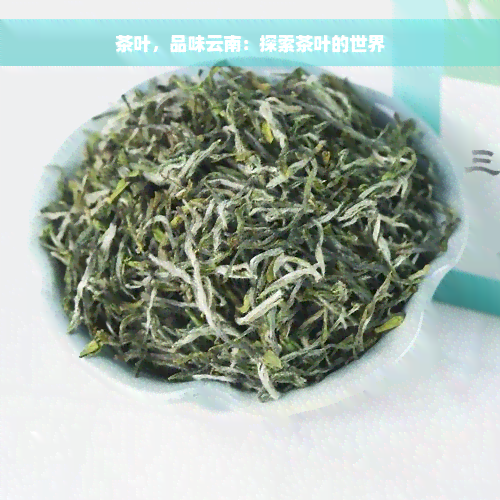 茶叶，品味云南：探索茶叶的世界