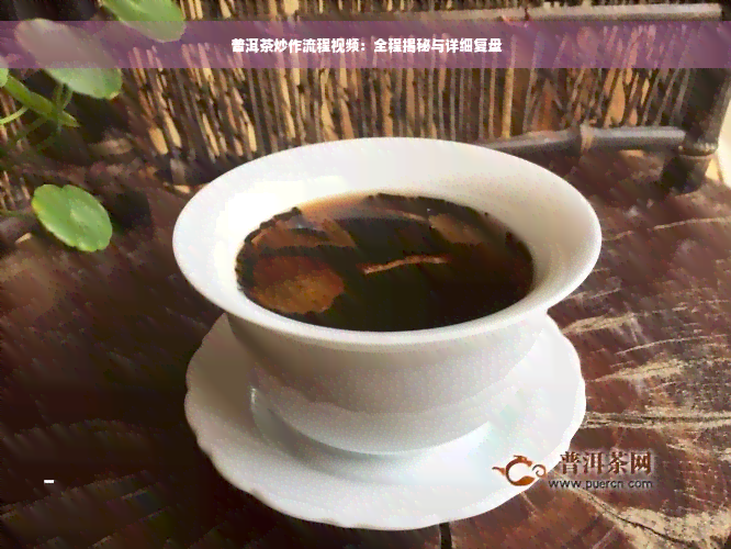 普洱茶炒作流程视频：全程揭秘与详细复盘