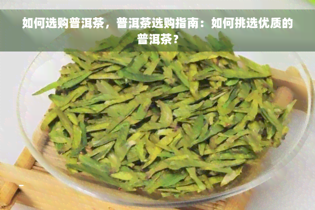 如何选购普洱茶，普洱茶选购指南：如何挑选优质的普洱茶？