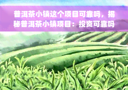 普洱茶小镇这个项目可靠吗，揭秘普洱茶小镇项目：投资可靠吗？