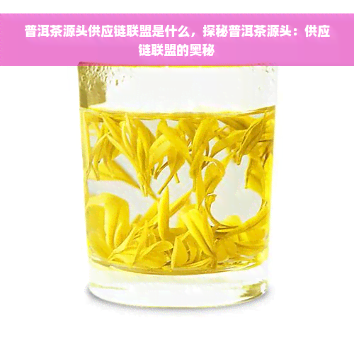 普洱茶源头供应链联盟是什么，探秘普洱茶源头：供应链联盟的奥秘