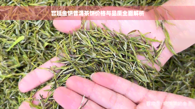 宫廷金饼普洱茶饼价格与品质全面解析