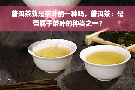 普洱茶就是茶叶的一种吗，普洱茶：是否属于茶叶的种类之一？