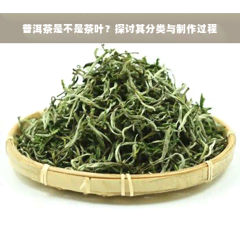 普洱茶是不是茶叶？探讨其分类与制作过程