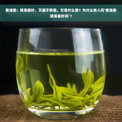 普洱茶：既是茶叶，又属于熟茶。它是什么茶？为什么有人问‘普洱茶就是茶叶吗’？