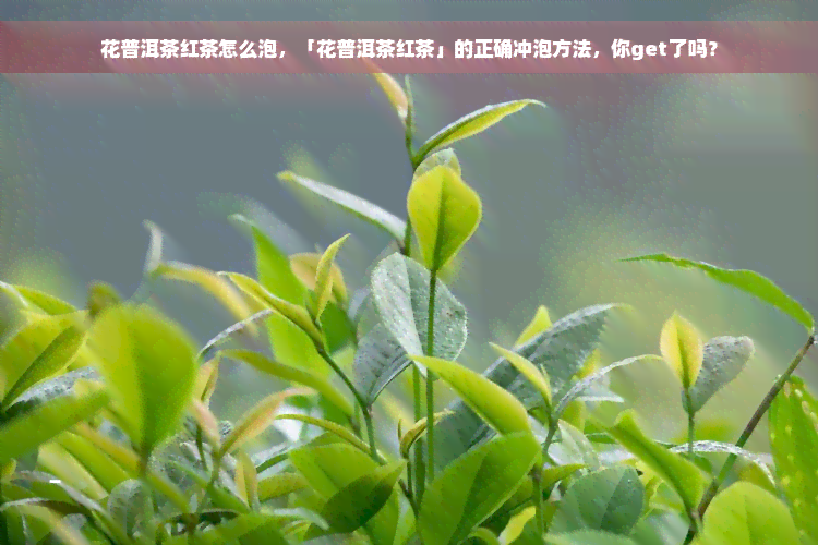 花普洱茶红茶怎么泡，「花普洱茶红茶」的正确冲泡方法，你get了吗？