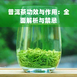 普洱茶功效与作用：全面解析与禁忌