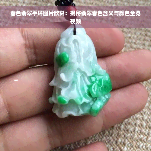 春色翡翠手环图片欣赏：揭秘翡翠春色含义与颜色全览视频