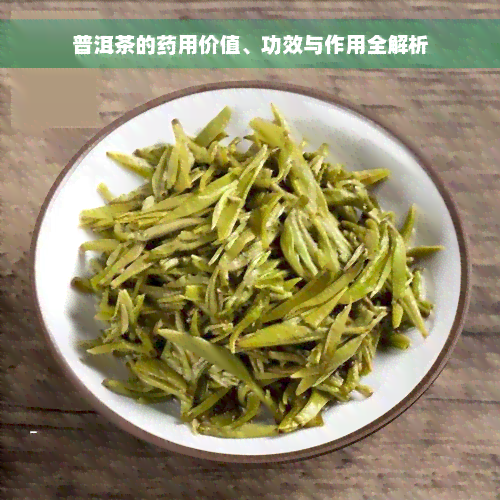 普洱茶的药用价值、功效与作用全解析