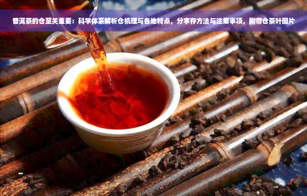 普洱茶的仓至关重要：科学体系解析仓机理与各地特点，分享存方法与注意事项，附带仓茶叶图片