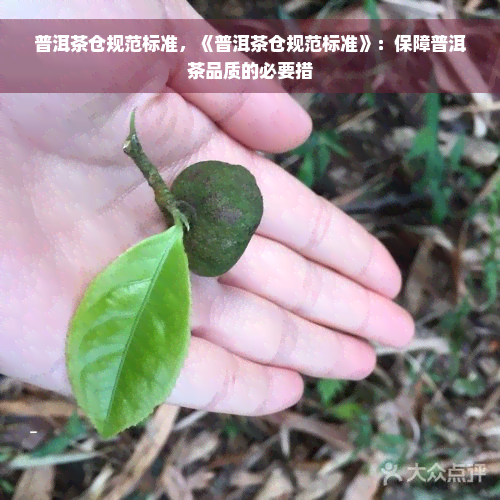 普洱茶仓规范标准，《普洱茶仓规范标准》：保障普洱茶品质的必要措