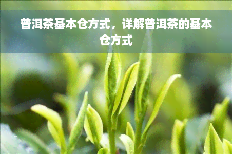 普洱茶基本仓方式，详解普洱茶的基本仓方式