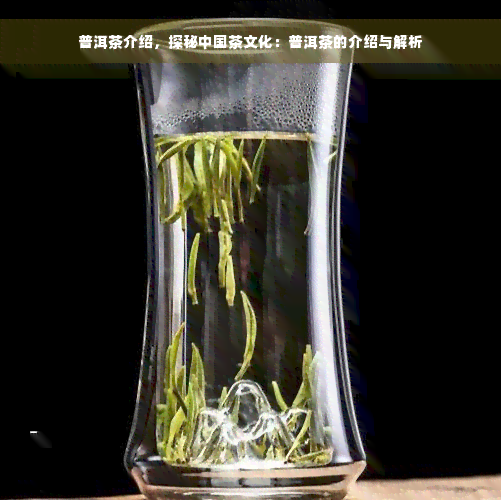 普洱茶介绍，探秘中国茶文化：普洱茶的介绍与解析