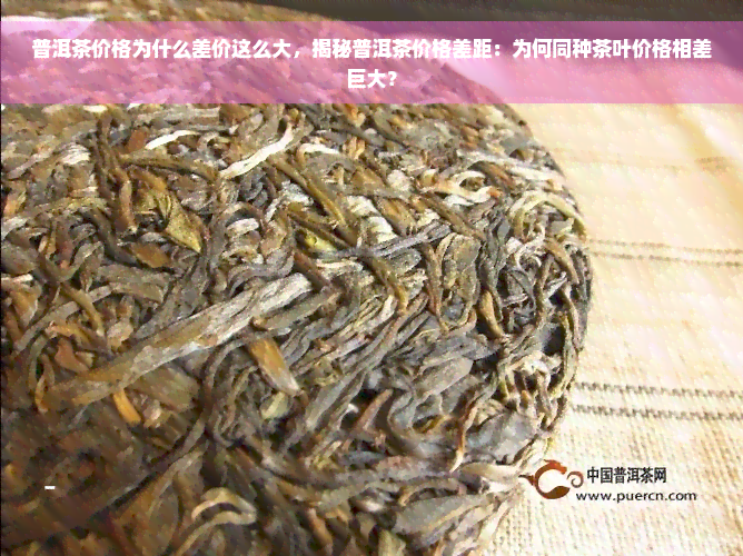 普洱茶价格为什么差价这么大，揭秘普洱茶价格差距：为何同种茶叶价格相差巨大？