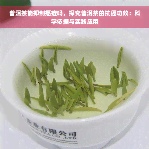 普洱茶能抑制癌症吗，探究普洱茶的抗癌功效：科学依据与实践应用