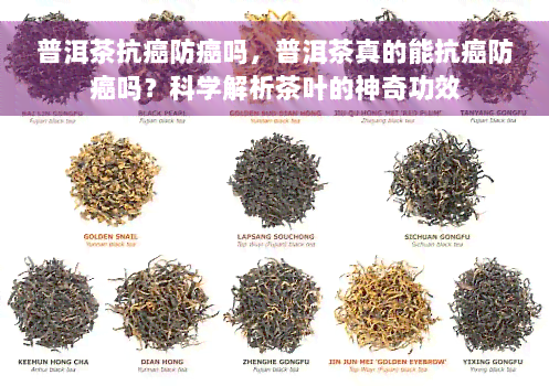 普洱茶抗癌防癌吗，普洱茶真的能抗癌防癌吗？科学解析茶叶的神奇功效