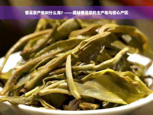 普洱茶产地叫什么海？——揭秘普洱茶的主产地与核心产区