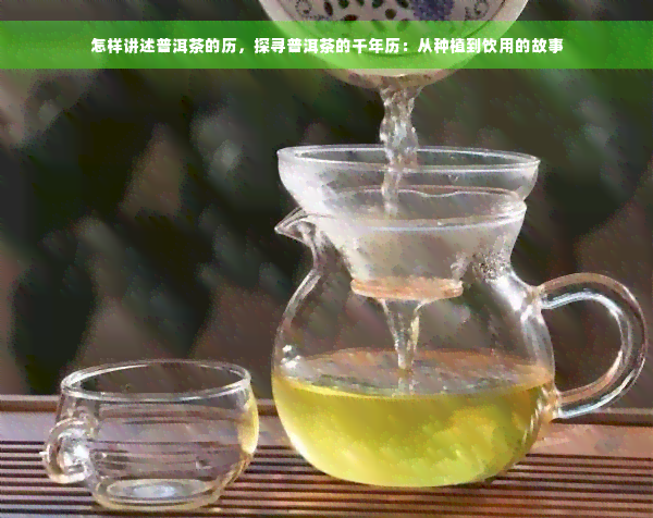 怎样讲述普洱茶的历，探寻普洱茶的千年历：从种植到饮用的故事