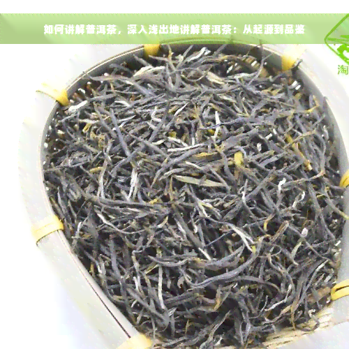 如何讲解普洱茶，深入浅出地讲解普洱茶：从起源到品鉴