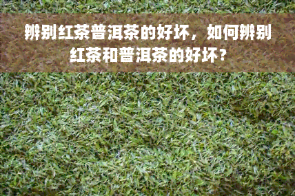 辨别红茶普洱茶的好坏，如何辨别红茶和普洱茶的好坏？