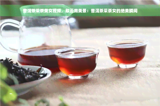 普洱茶采茶美女视频，欣云南美景：普洱茶采茶女的绝美瞬间