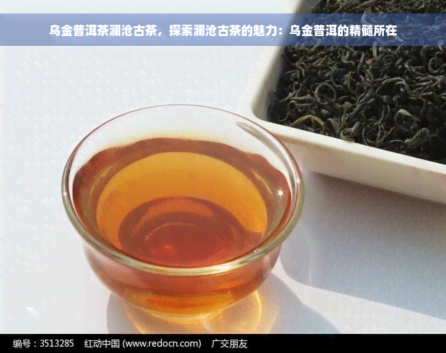 乌金普洱茶澜沧古茶，探索澜沧古茶的魅力：乌金普洱的精髓所在