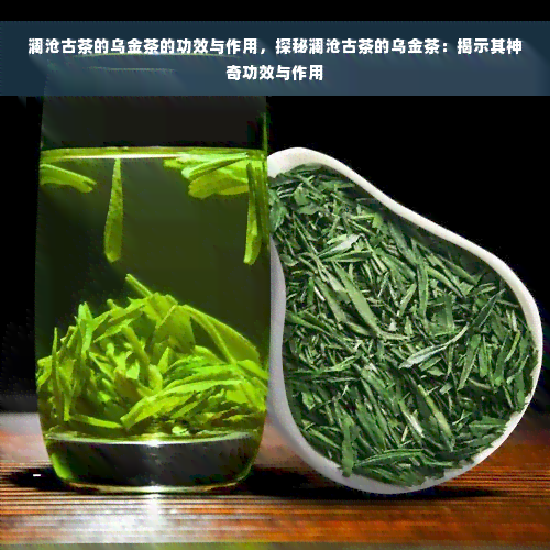 澜沧古茶的乌金茶的功效与作用，探秘澜沧古茶的乌金茶：揭示其神奇功效与作用