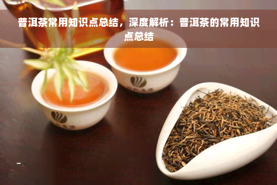 普洱茶常用知识点总结，深度解析：普洱茶的常用知识点总结