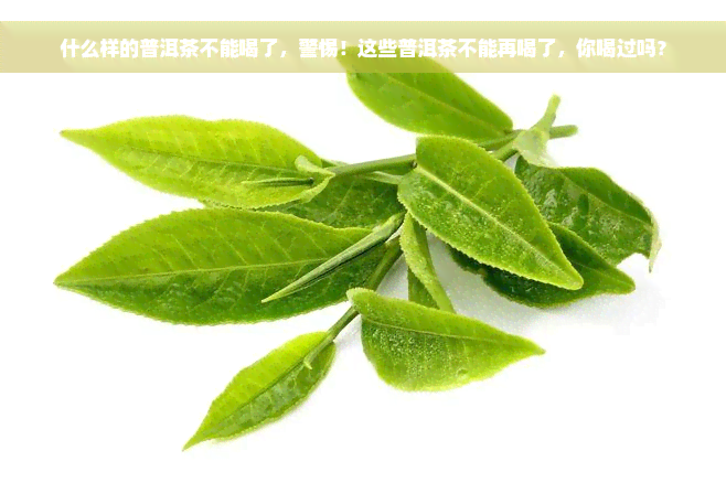 什么样的普洱茶不能喝了，警惕！这些普洱茶不能再喝了，你喝过吗？