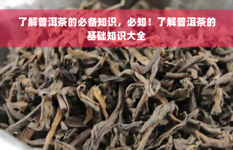 了解普洱茶的必备知识，必知！了解普洱茶的基础知识大全