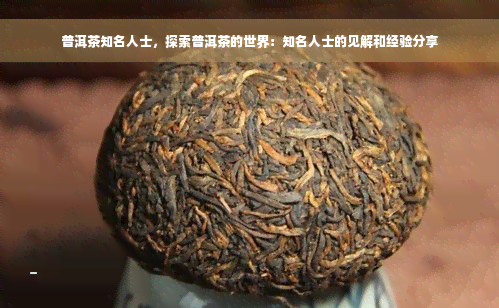 普洱茶知名人士，探索普洱茶的世界：知名人士的见解和经验分享