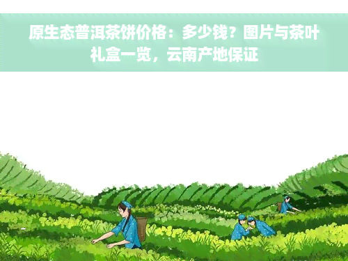 原生态普洱茶饼价格：多少钱？图片与茶叶礼盒一览，云南产地保证