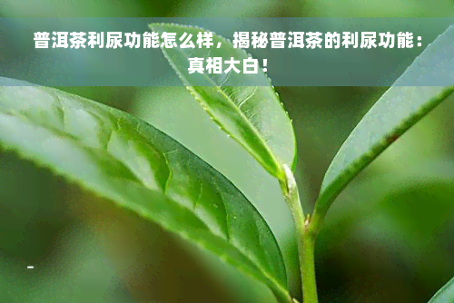 普洱茶利尿功能怎么样，揭秘普洱茶的利尿功能：真相大白！